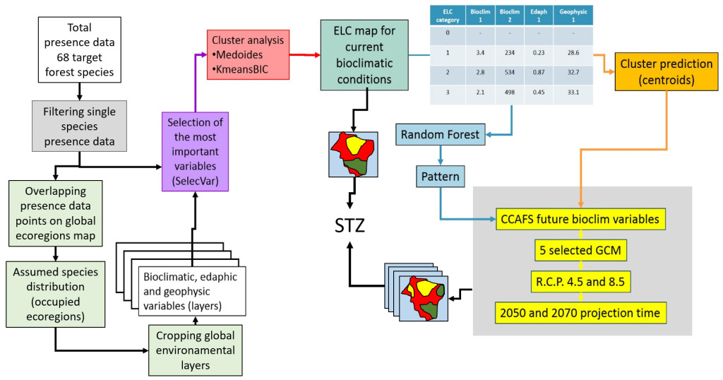 Process that made spatio-temporal STZs possible for 68 prioritized tree species in Asia